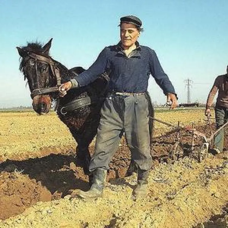 Bani de la UE pentru fermieri