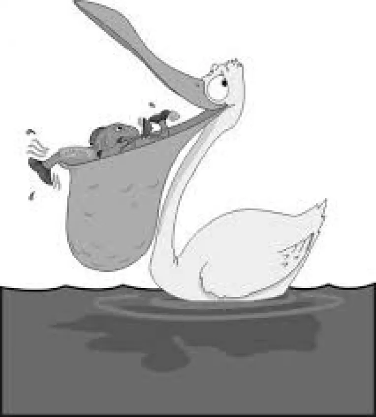 Cei mai multi liberali nu-l vor pe Marian Munteanu, pe care copresedintii Gorghiu si Blaga l-au inghiti ca pelicanii