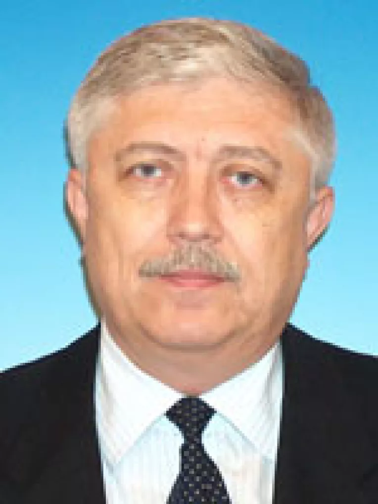 Doi deputati PD-L cer anchetarea ministrului PSD Andronescu