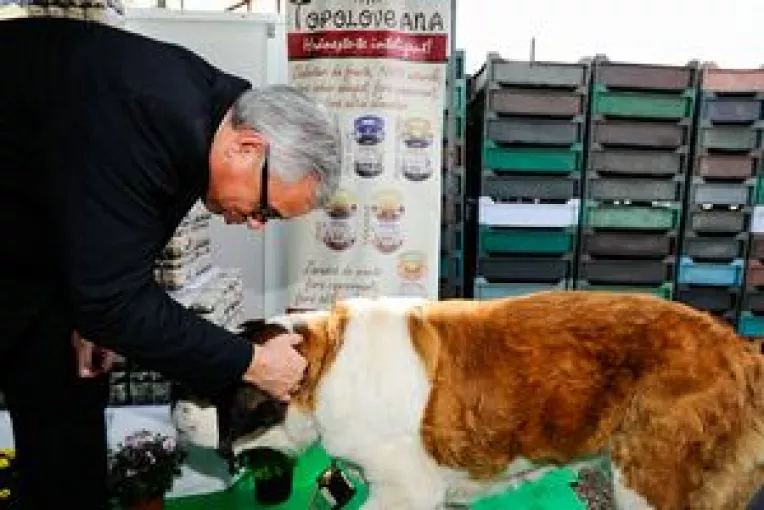 Excelenta Sa Jean Hubert Lebet a fost intampinat de doi caini Saint Bernard, la fabrica de magiun Topoloveni
