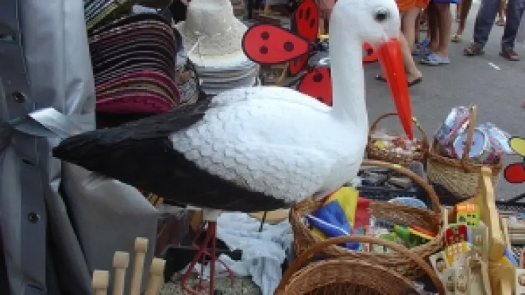 Guvern, Biserica, Scoala, Elite: Cine ne scoate din criza?