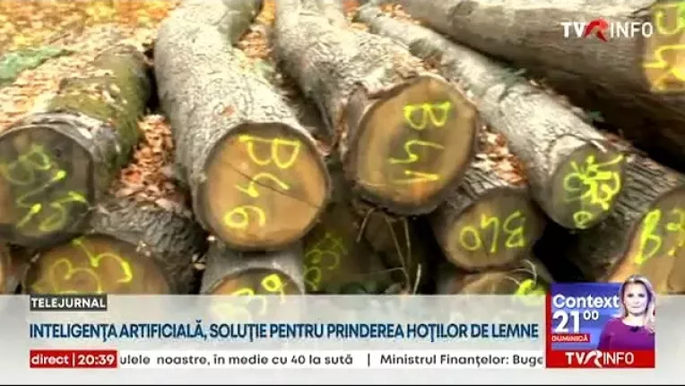 Inteligenta artificiala, solutia pentru prinderea hotilor de lemne