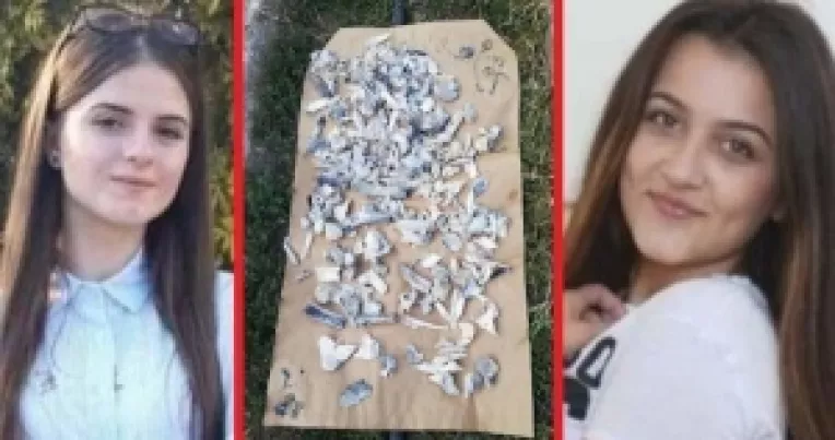 O ipoteza incredibila circula pe net: Corpurile celor doua fete disparute din Caracal ar fi fost folosite pentru transplant de organe!