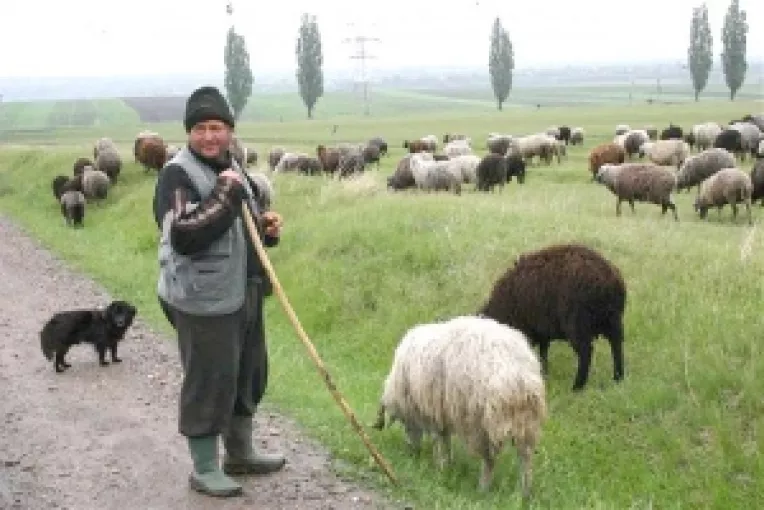Taxe mai mari pentru producatorii agricoli