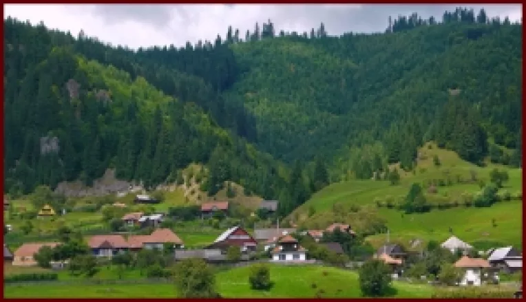 Un investitor chinez va fabrica televizoare si calculatoare in comuna damboviteana Darmanesti